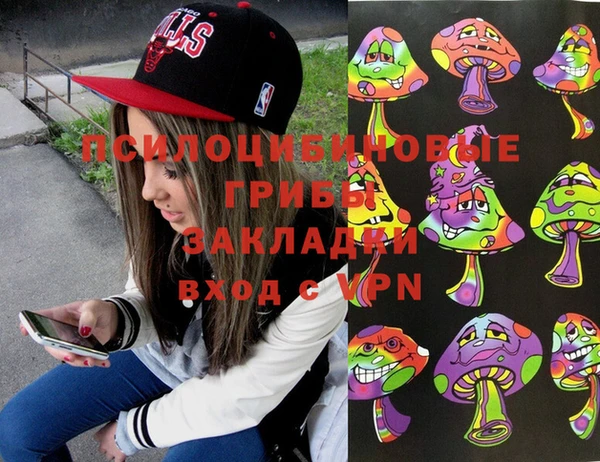 СК Аркадак