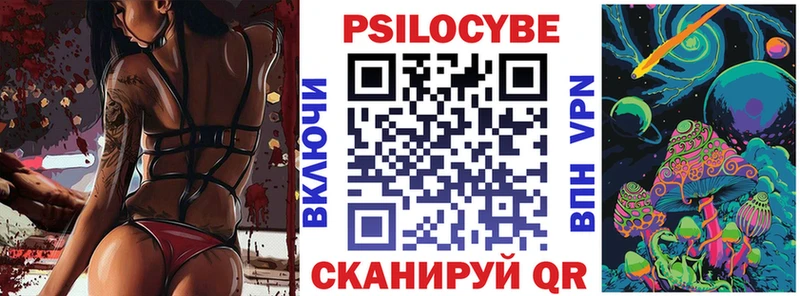 Псилоцибиновые грибы Psilocybe купить наркотики сайты Новомосковск