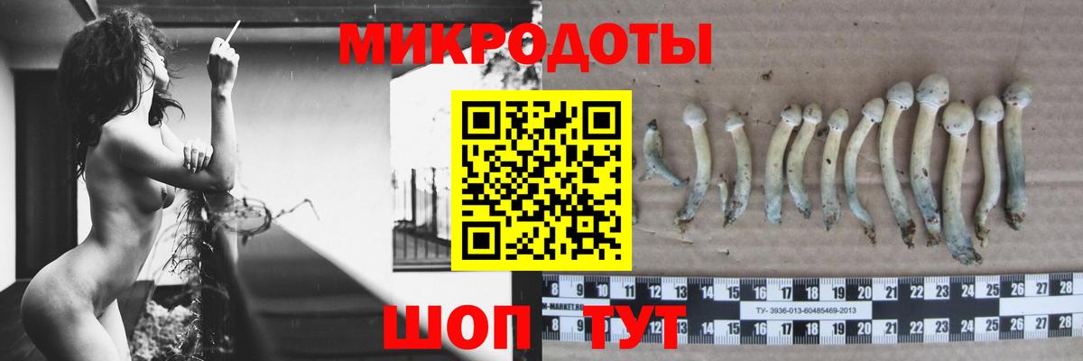 Галлюциногенные грибы мицелий  Вход с VPN  Новомосковск 
